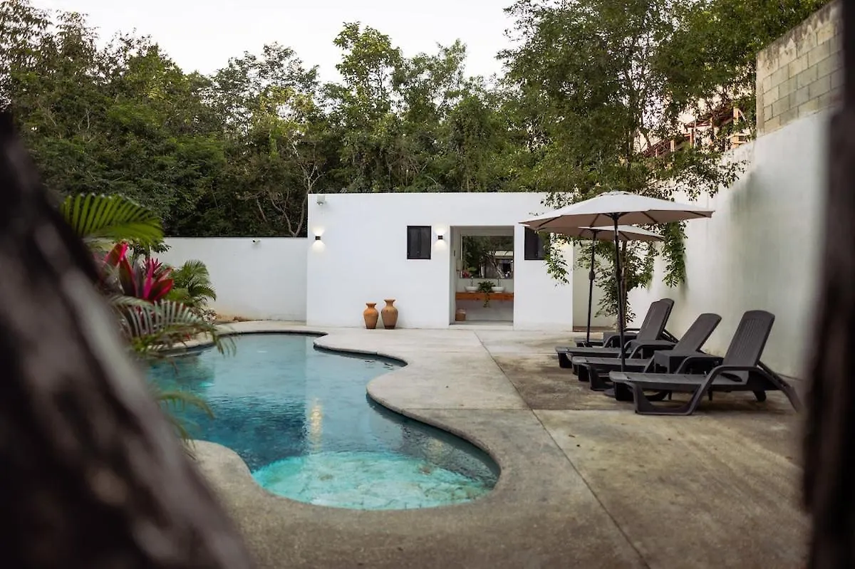 50 Off New 1Br Rincon Ixchel-Ha Apartment Tulum