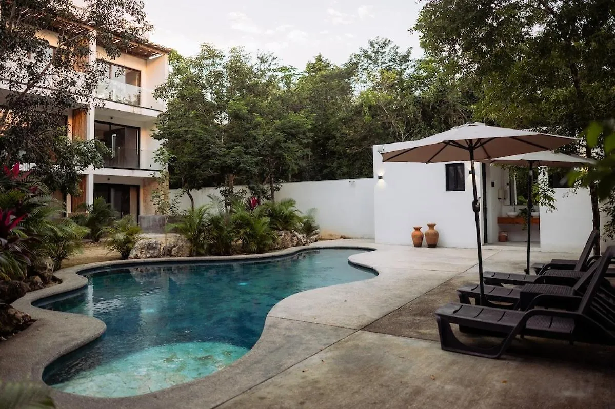 50 Off New 1Br Rincon Ixchel-Ha Apartment Tulum Mexico